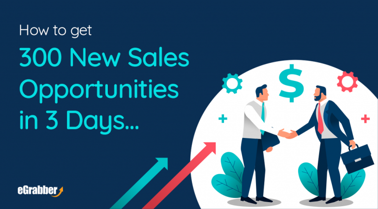 How to get 300 New Sales Opportunities in 3 Days... 6