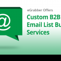 eGrabber Offers Custom B2B and Email List Building Services 3
