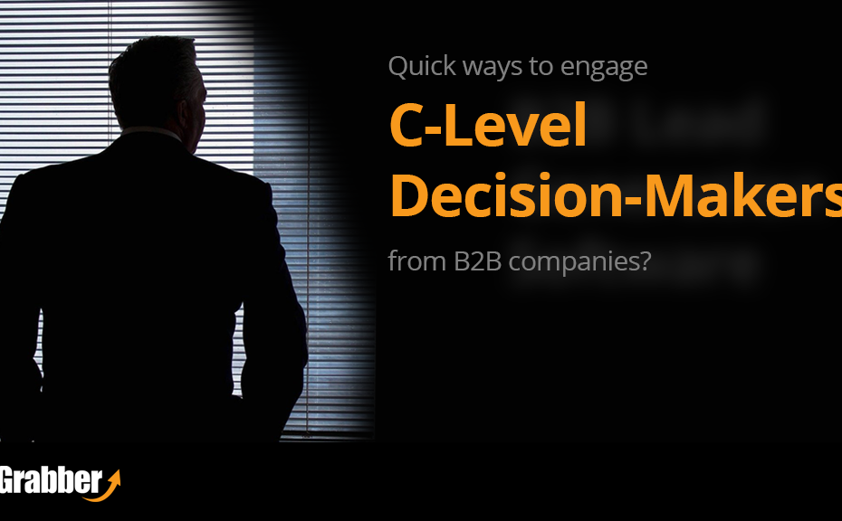 c-level decision makers from b2b companies