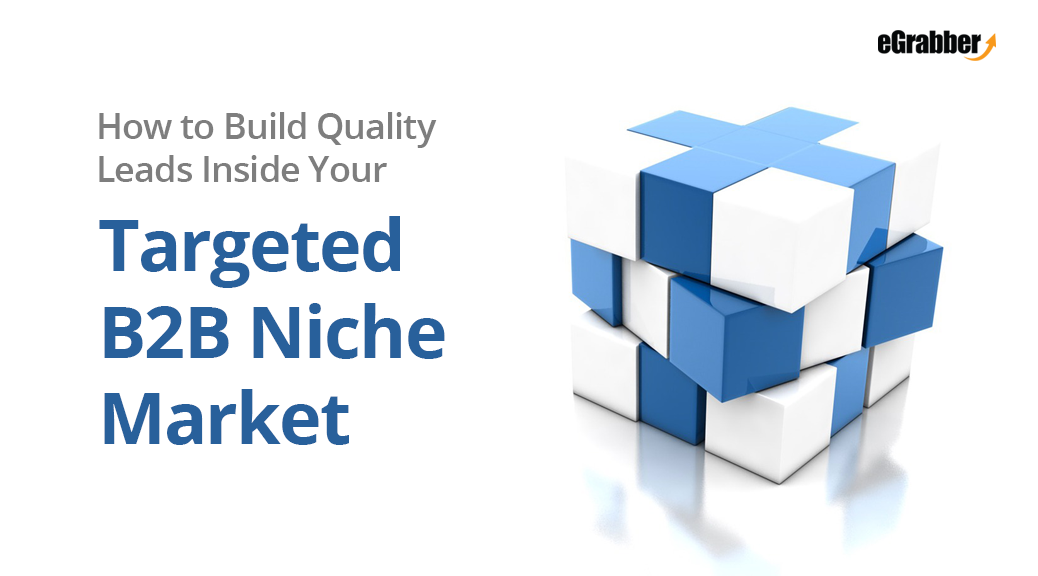How to Build Quality Leads Inside Your Targeted B2B Niche Market 1