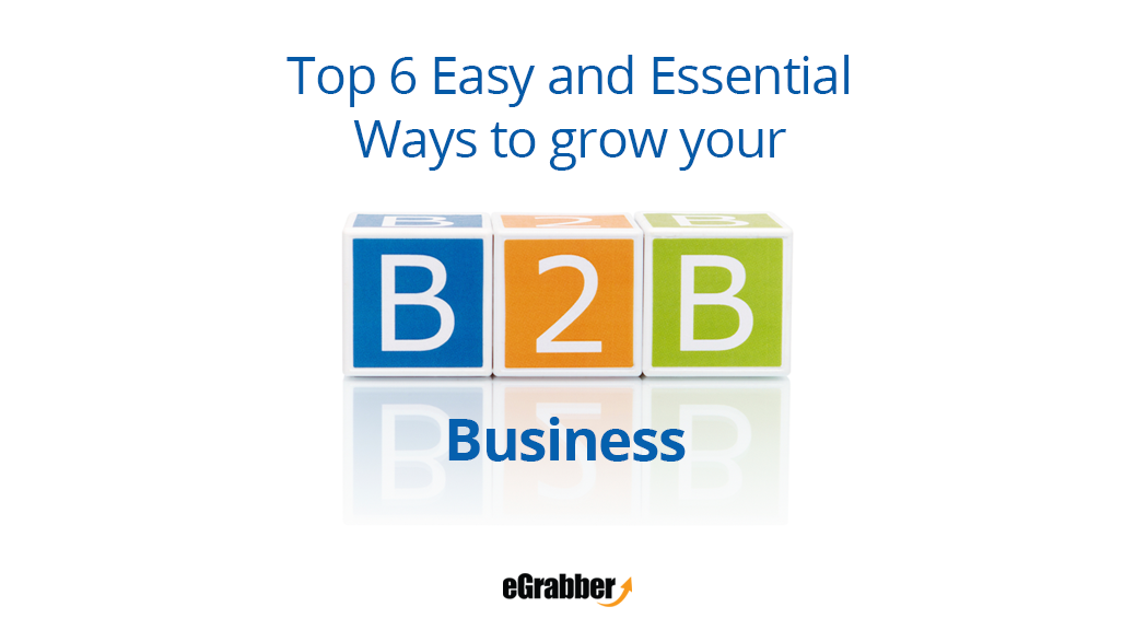 Top 6 Easy and Essential Ways to grow your B2B Business 2