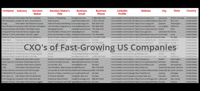 CXO's of 100K+ Fast-Growing US Companies