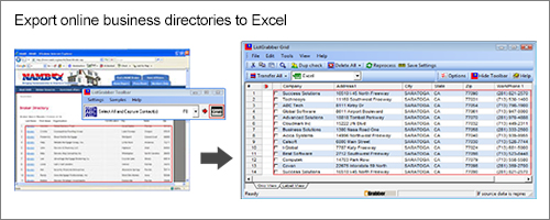Export yellow pages business directories to excel